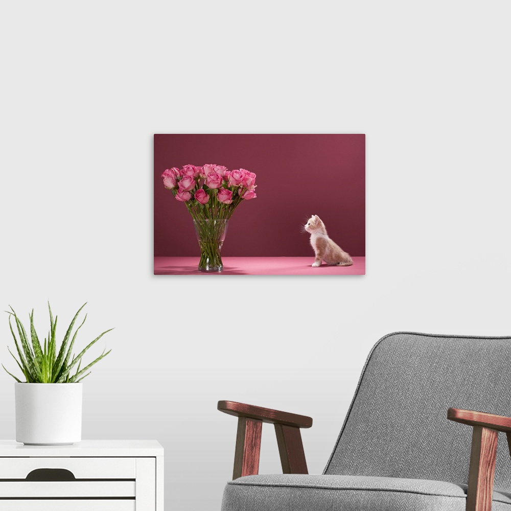 A modern room featuring Kitten looking at vase of roses