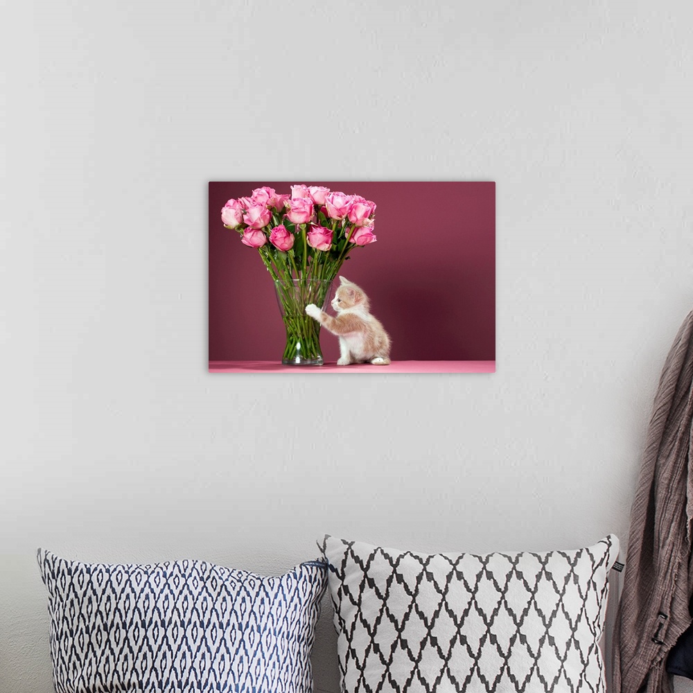 A bohemian room featuring Photograph of small kitten beside tall glass vase of flowers.