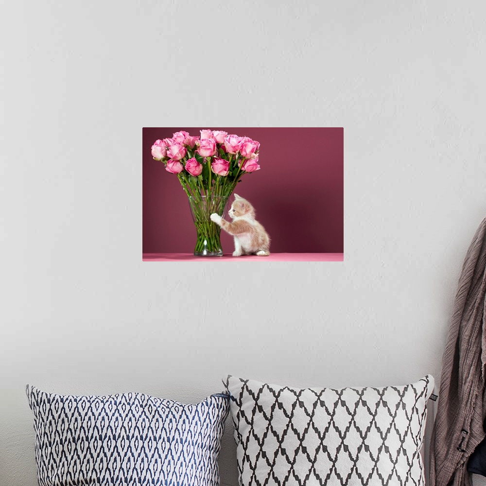 A bohemian room featuring Photograph of small kitten beside tall glass vase of flowers.