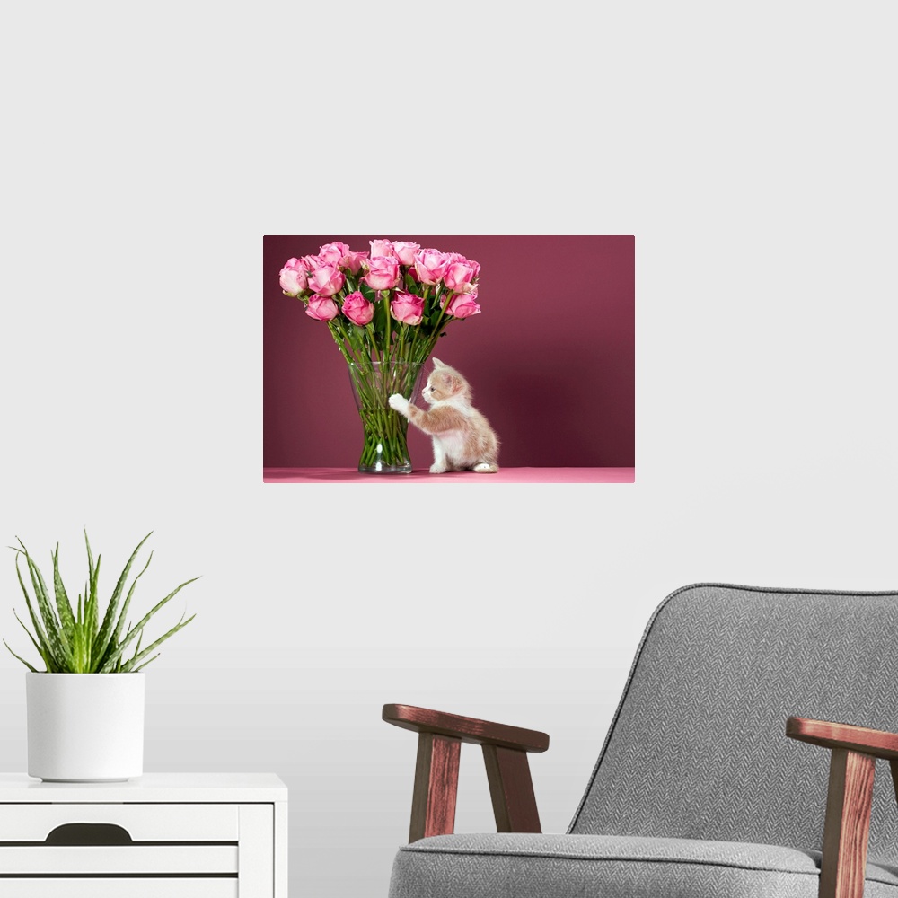 A modern room featuring Photograph of small kitten beside tall glass vase of flowers.