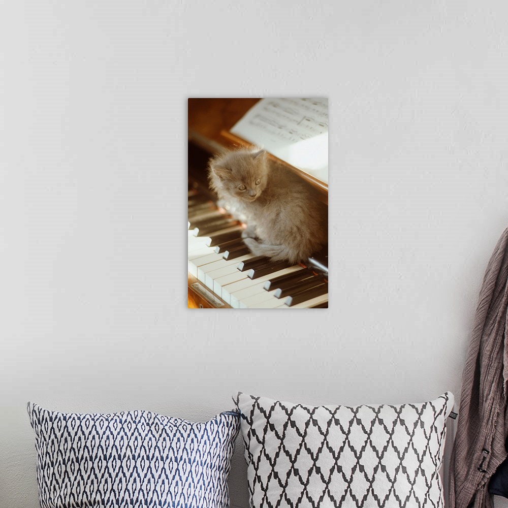 A bohemian room featuring Kitten sitting on piano keyboard, close-up