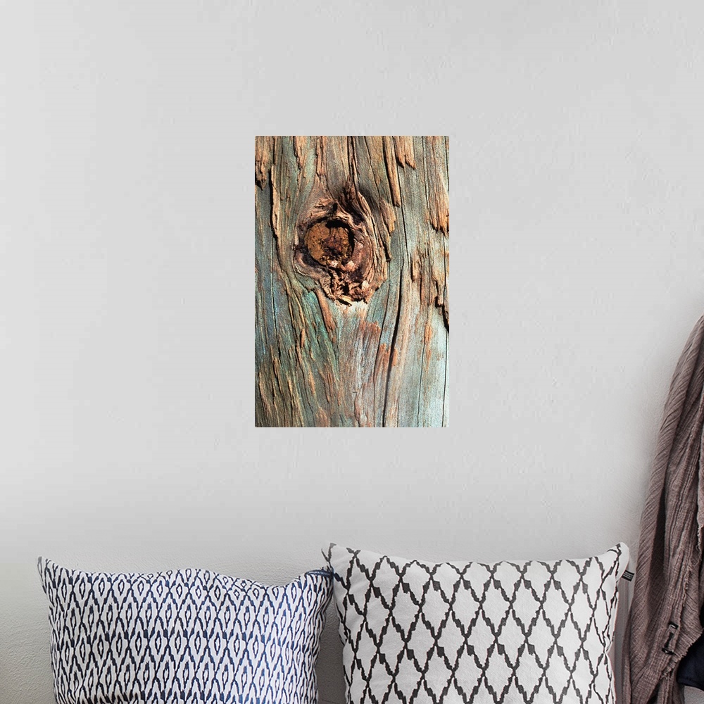 A bohemian room featuring Knot in tree bark