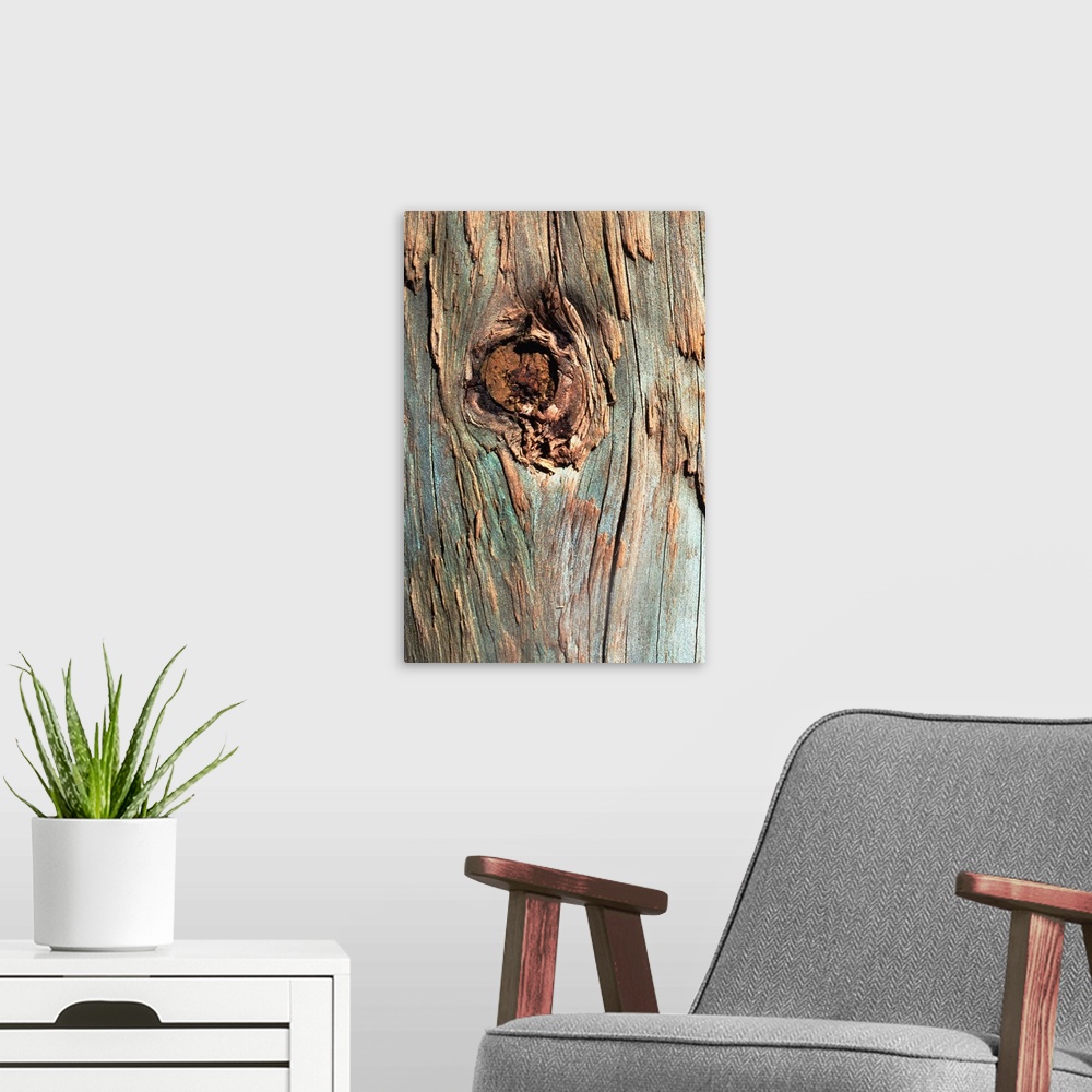 A modern room featuring Knot in tree bark