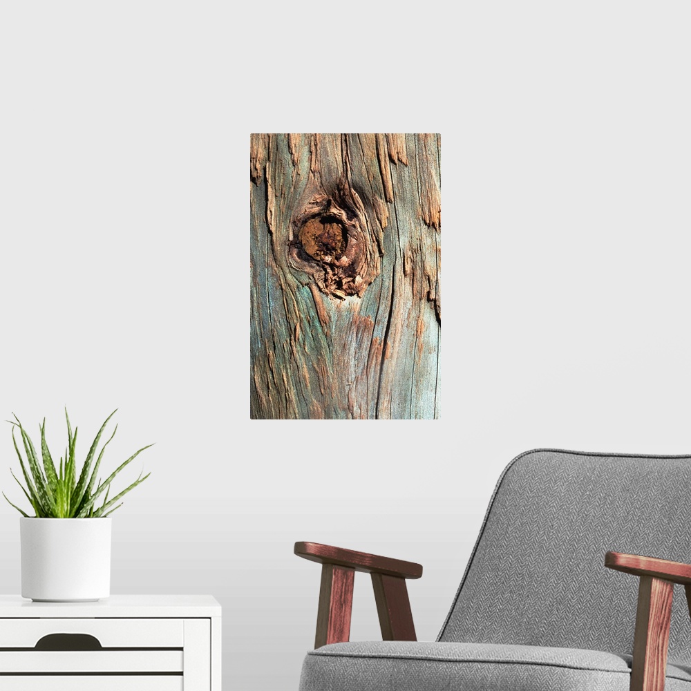 A modern room featuring Knot in tree bark