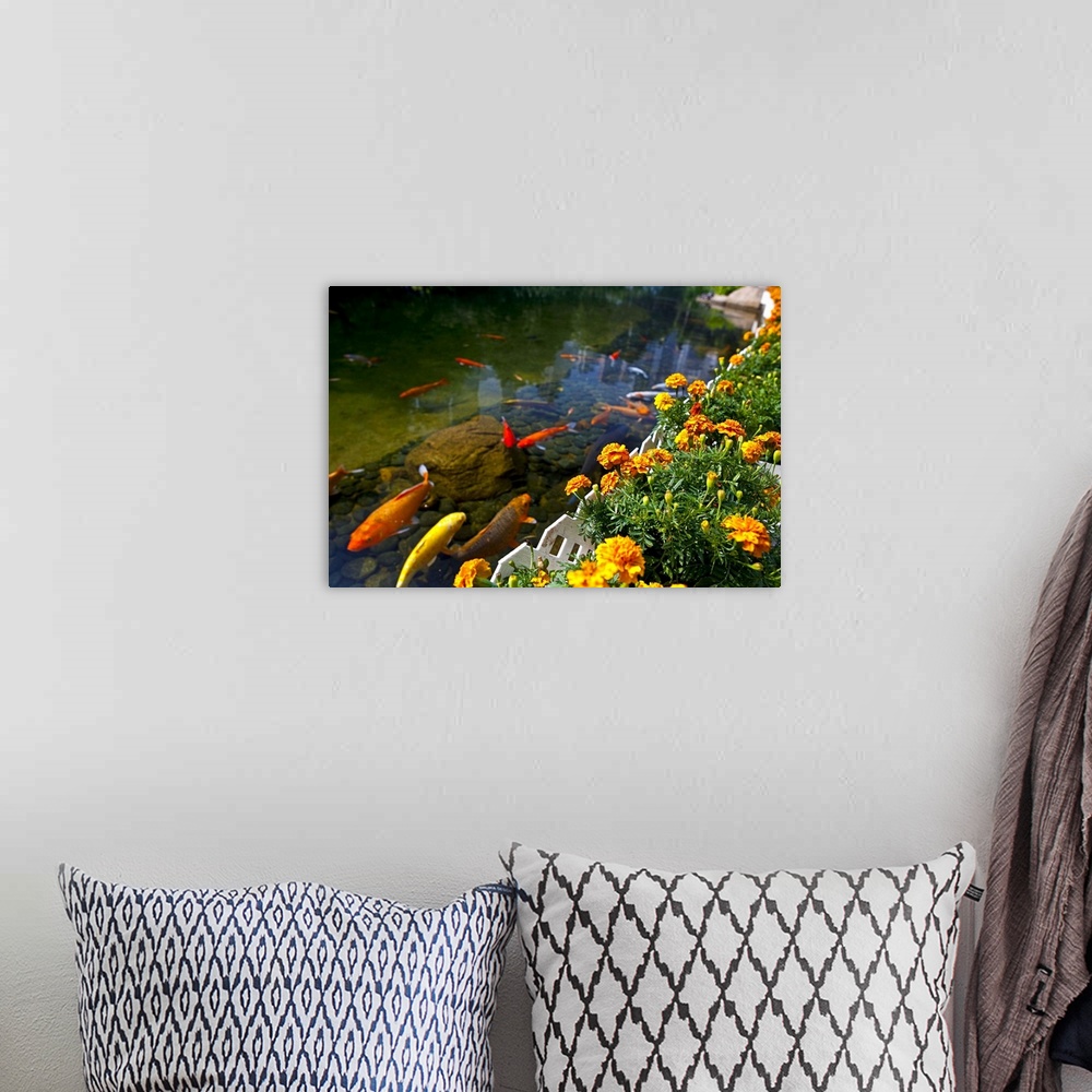 A bohemian room featuring Koi fish swimming by flower garden