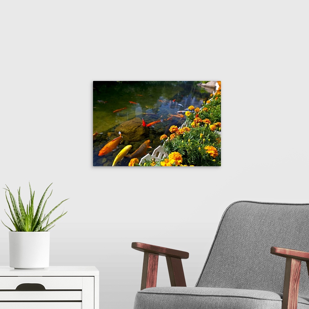 A modern room featuring Koi fish swimming by flower garden