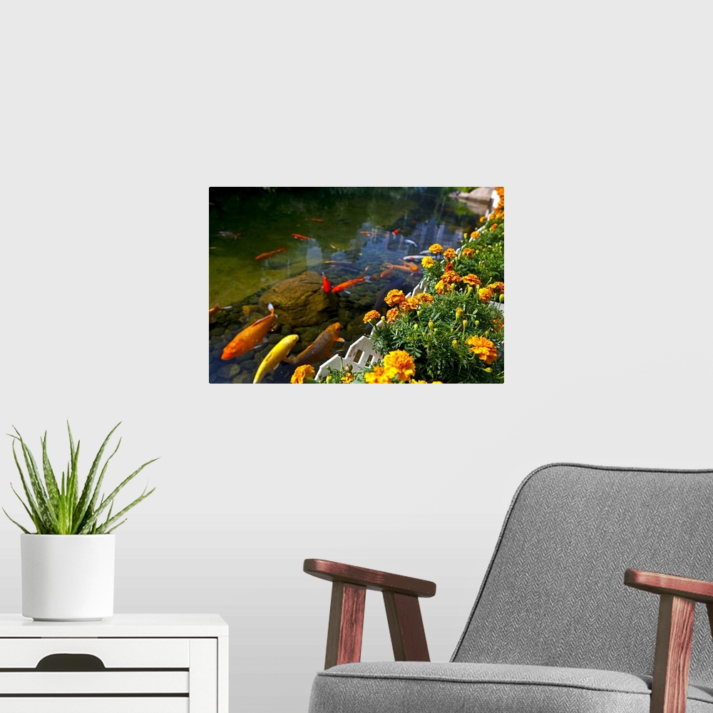 A modern room featuring Koi fish swimming by flower garden