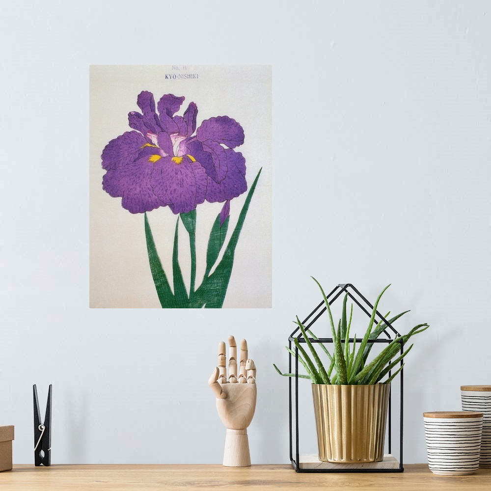 A bohemian room featuring Illustration from a Japanese book on irises, Iris Kaempferae
