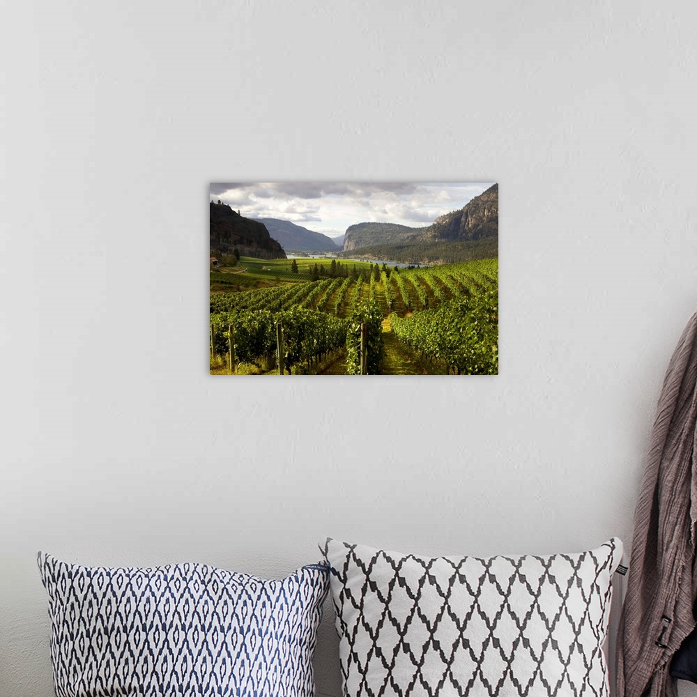 A bohemian room featuring Landscape Of Winery