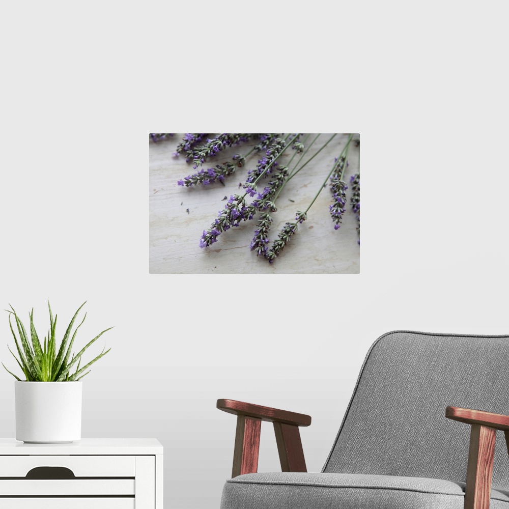 A modern room featuring Big photo on canvas of lavender flowers laying on a wooden surface.