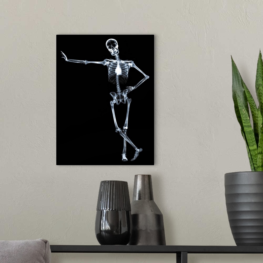 A modern room featuring Leaning skeleton against black