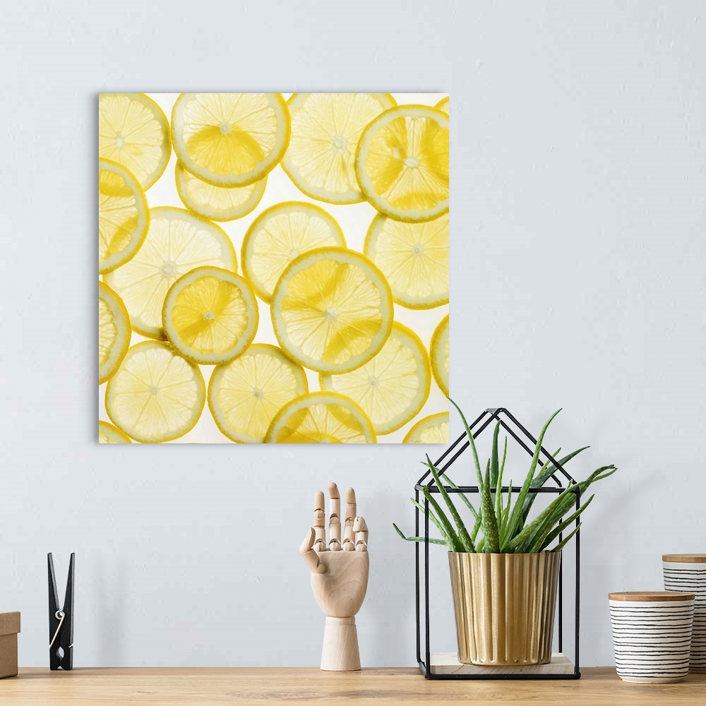 A bohemian room featuring This large piece is of all different sized lemon slices that have been laid onto an illuminated s...
