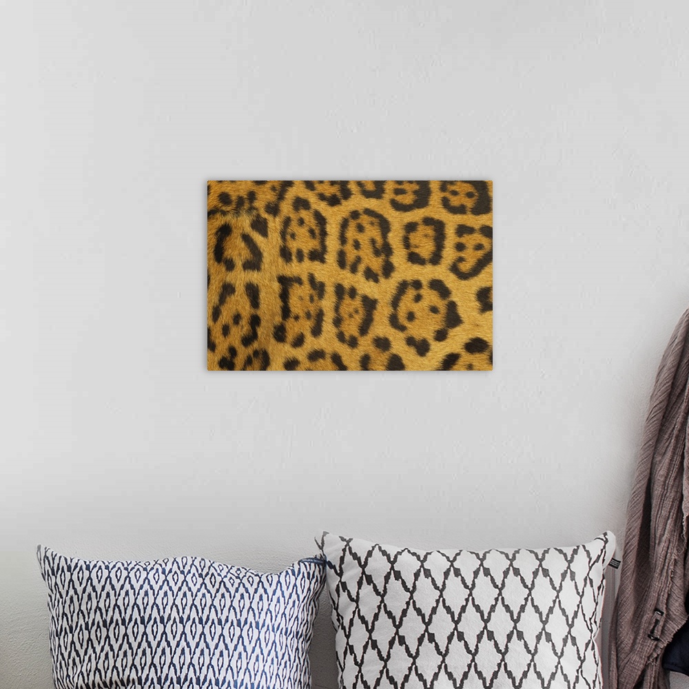 A bohemian room featuring Leopard Fur