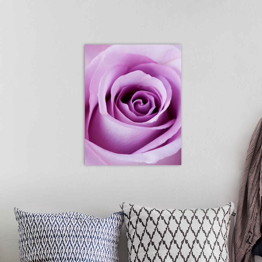 A bohemian room featuring Light Purple Rose