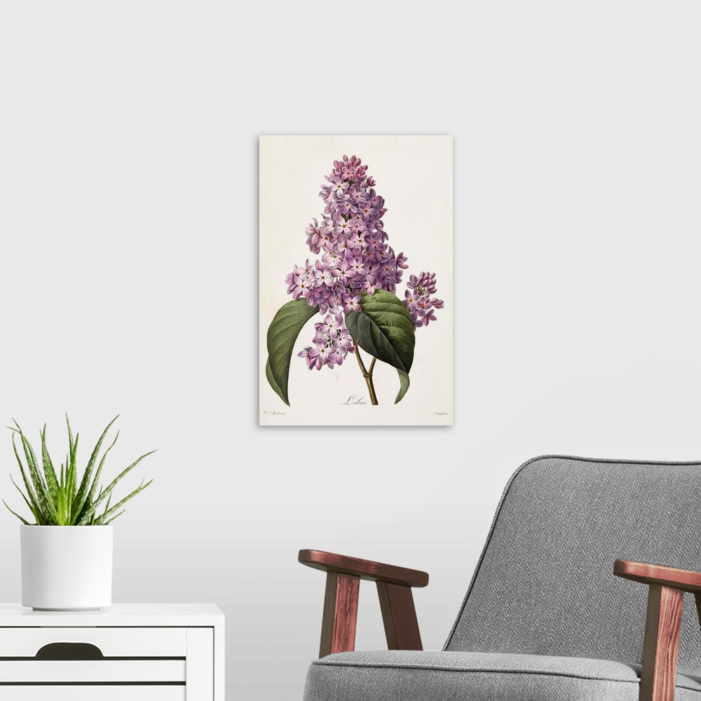 A modern room featuring Lilacs By Pierre Joseph Redoute