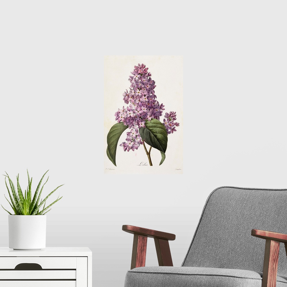 A modern room featuring Lilacs By Pierre Joseph Redoute