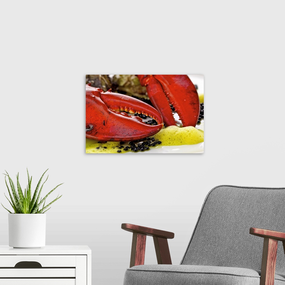 A modern room featuring Lobster, caviar and oysters on plate, close-up