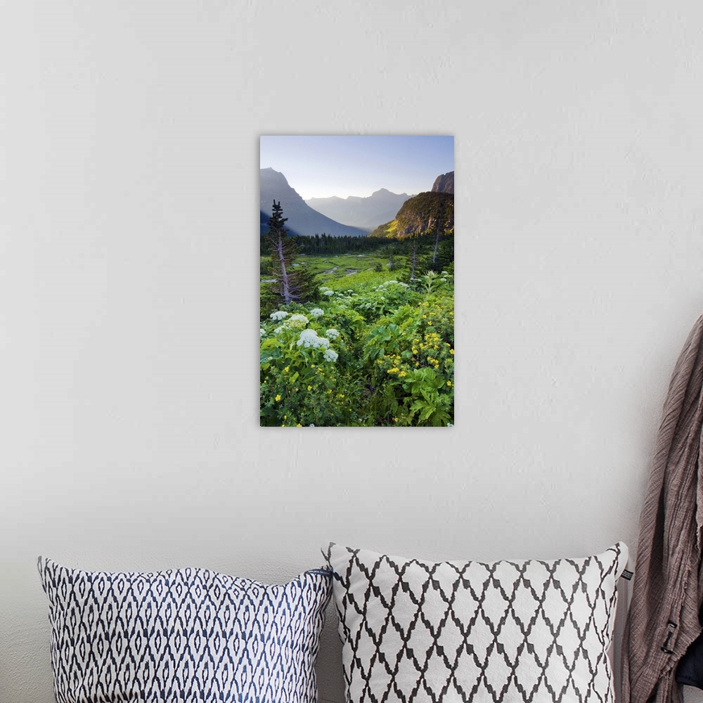 A bohemian room featuring Logan Pass at sunrise in Glacier National Park, Montana.