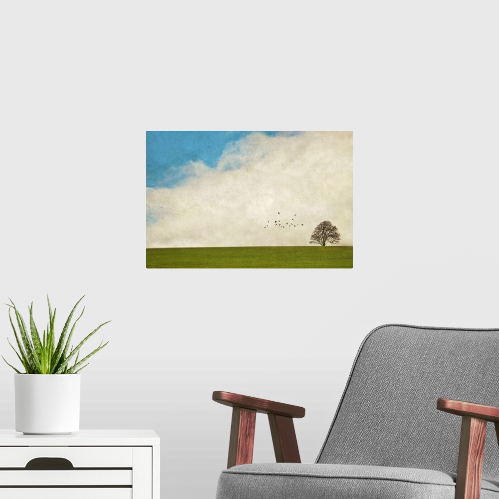 A modern room featuring Lone tree.