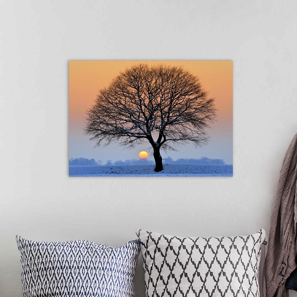 A bohemian room featuring Lone tree against light in icy winter sunset,fields covered with snow.