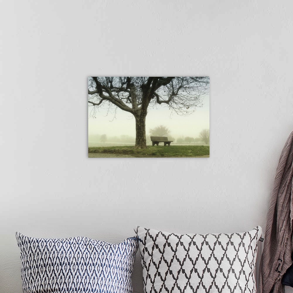 A bohemian room featuring Lonely bench beneath tree in winter with trees and mist on background.