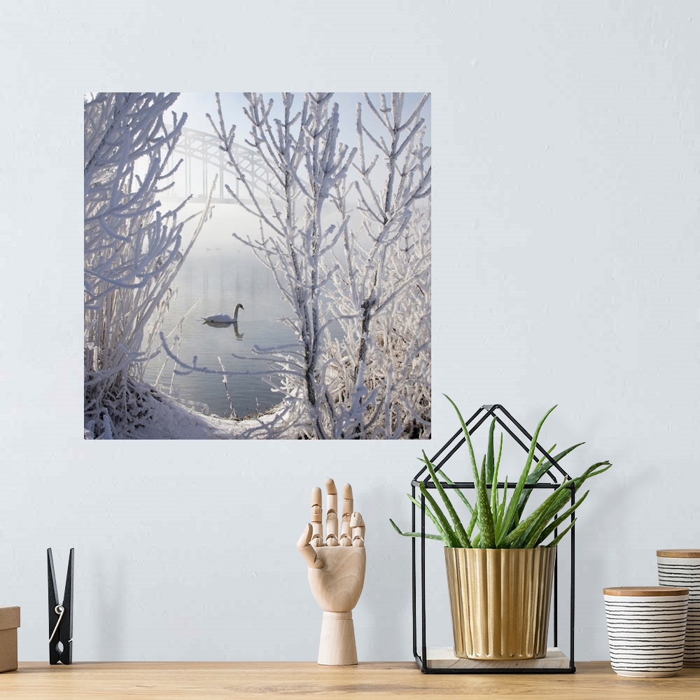 A bohemian room featuring Lonely swan in ice snow covered landscape with bridge in background throughout mist.