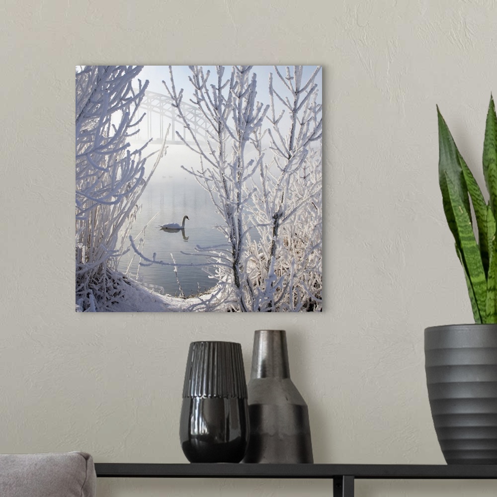 A modern room featuring Lonely swan in ice snow covered landscape with bridge in background throughout mist.