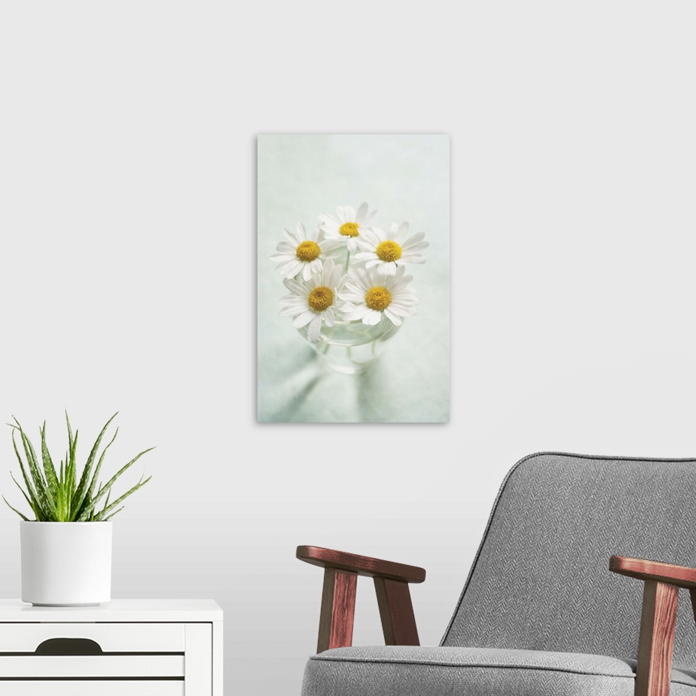 A modern room featuring Looking down at vase of fresh white daisies.