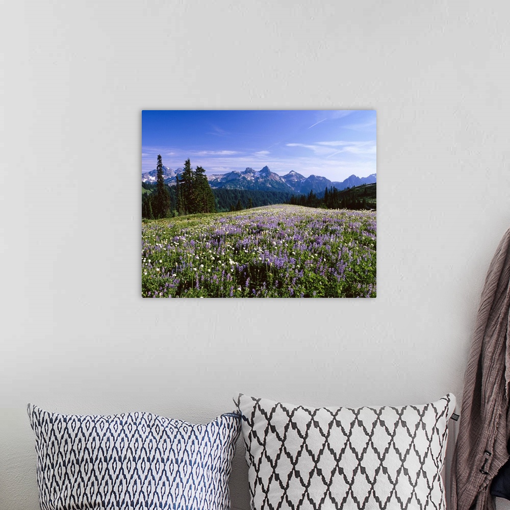 A bohemian room featuring Looking toward the Tatoosh Mountain Range in Mount Rainier National Park. As seen from the Paradi...