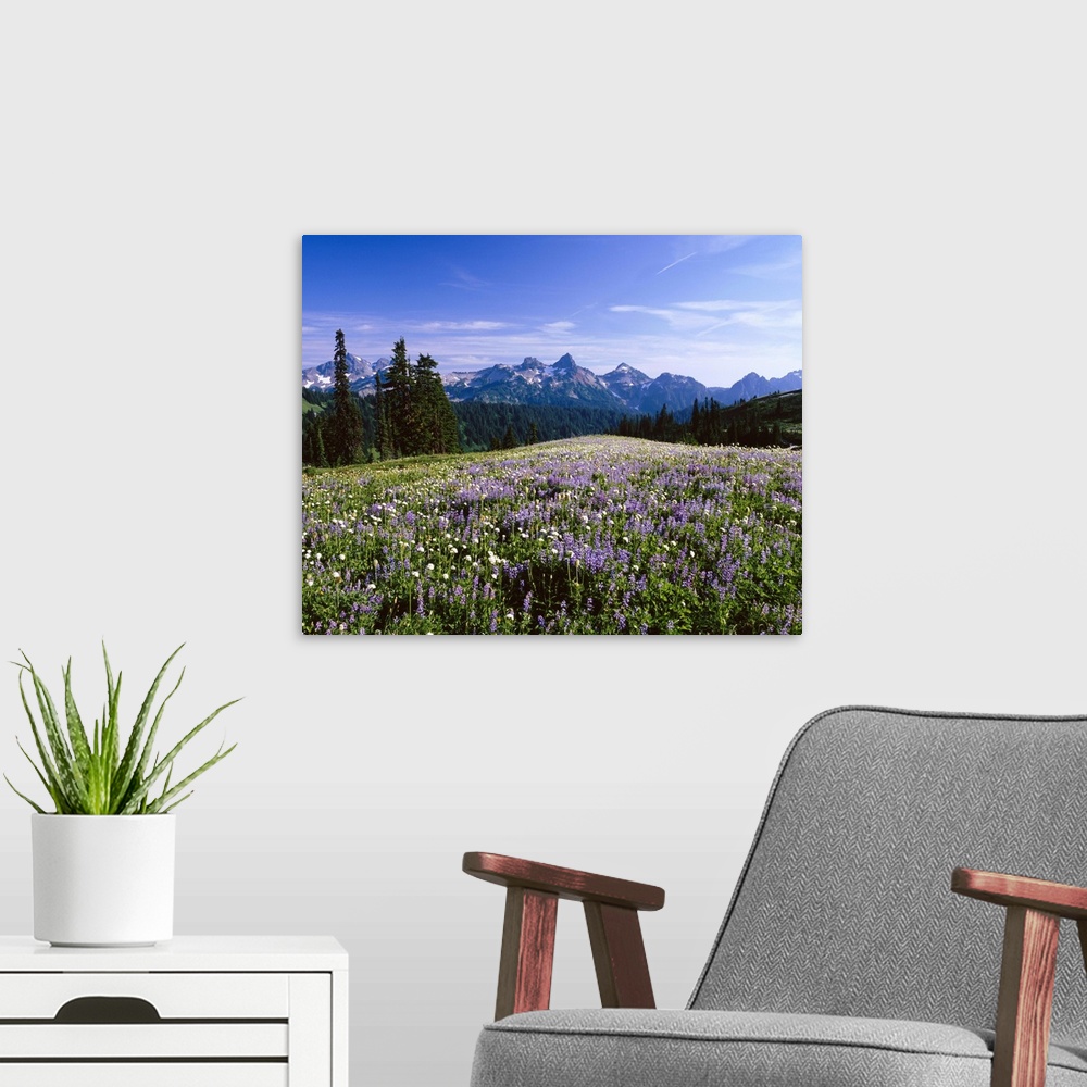 A modern room featuring Looking toward the Tatoosh Mountain Range in Mount Rainier National Park. As seen from the Paradi...