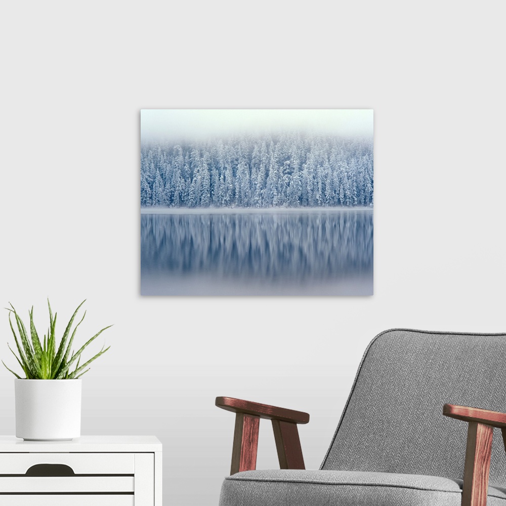 A modern room featuring Fog rising above snow-flocked douglas fir trees reflecting in Lost Lake in Mt. Hood National Forest.