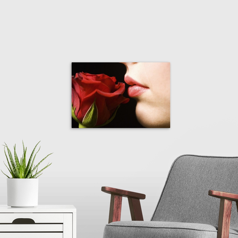 A modern room featuring Luscious lips and soft rose