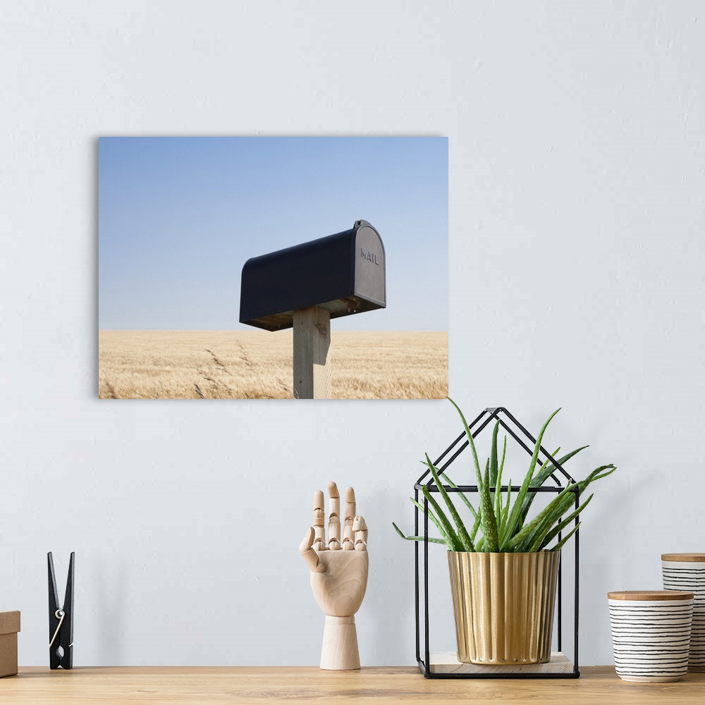 A bohemian room featuring Rural mailbox next to a wheat field.