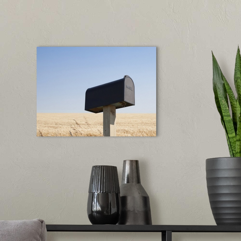 A modern room featuring Rural mailbox next to a wheat field.