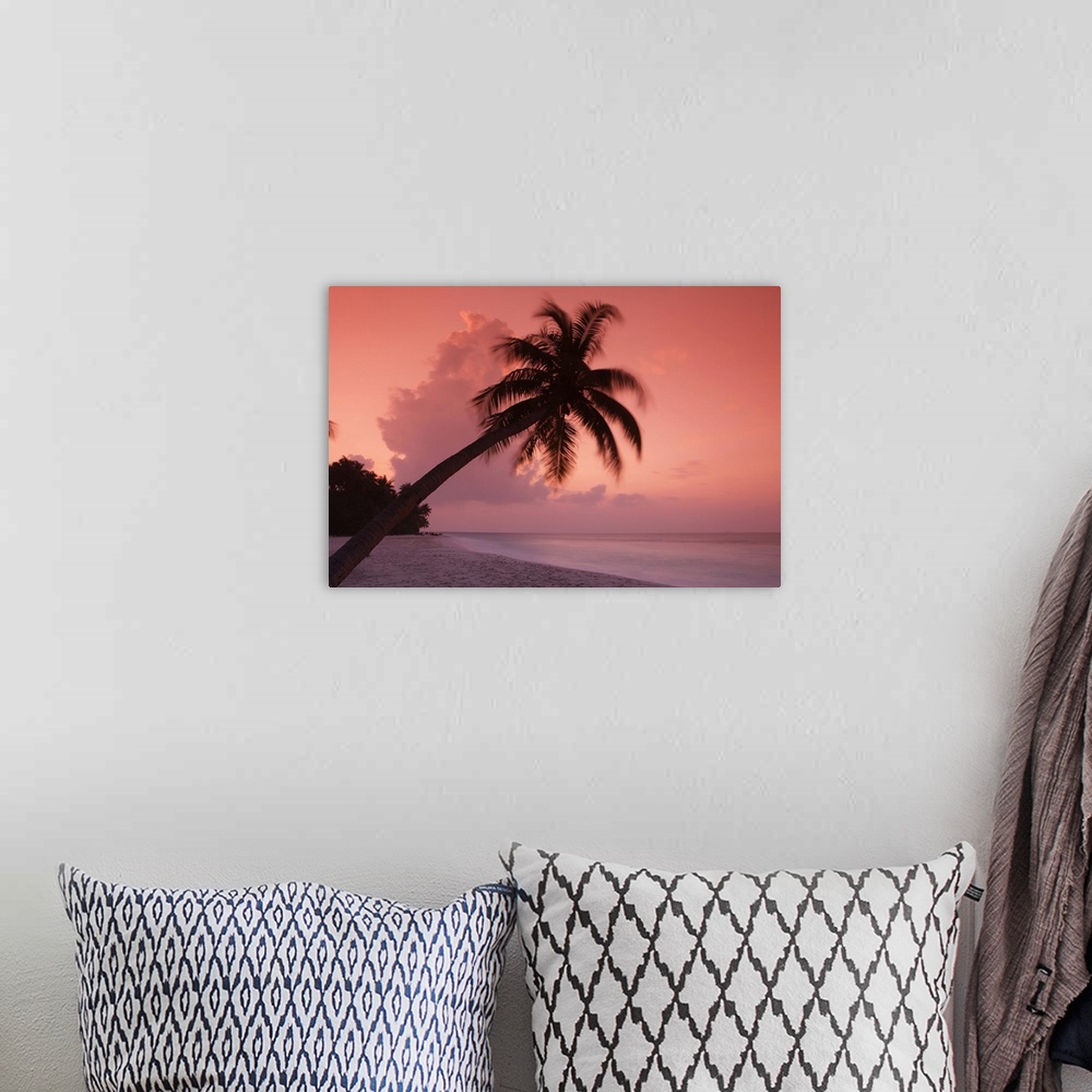 A bohemian room featuring Maldives, Filitheyo island, palm on the beach at sunset.