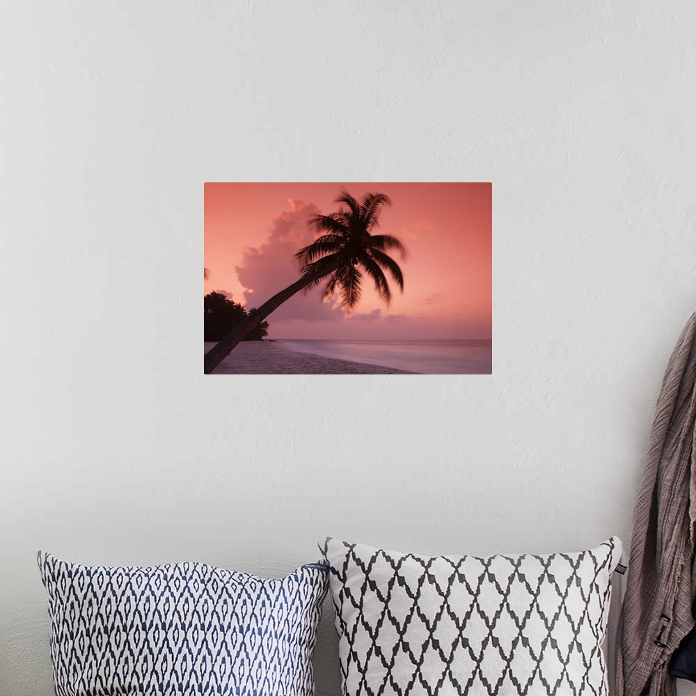 A bohemian room featuring Maldives, Filitheyo island, palm on the beach at sunset.