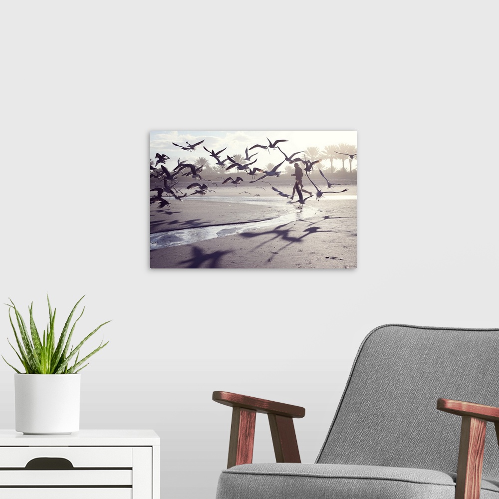 A modern room featuring Man walking and seagulls flying with him on beach at sunset.