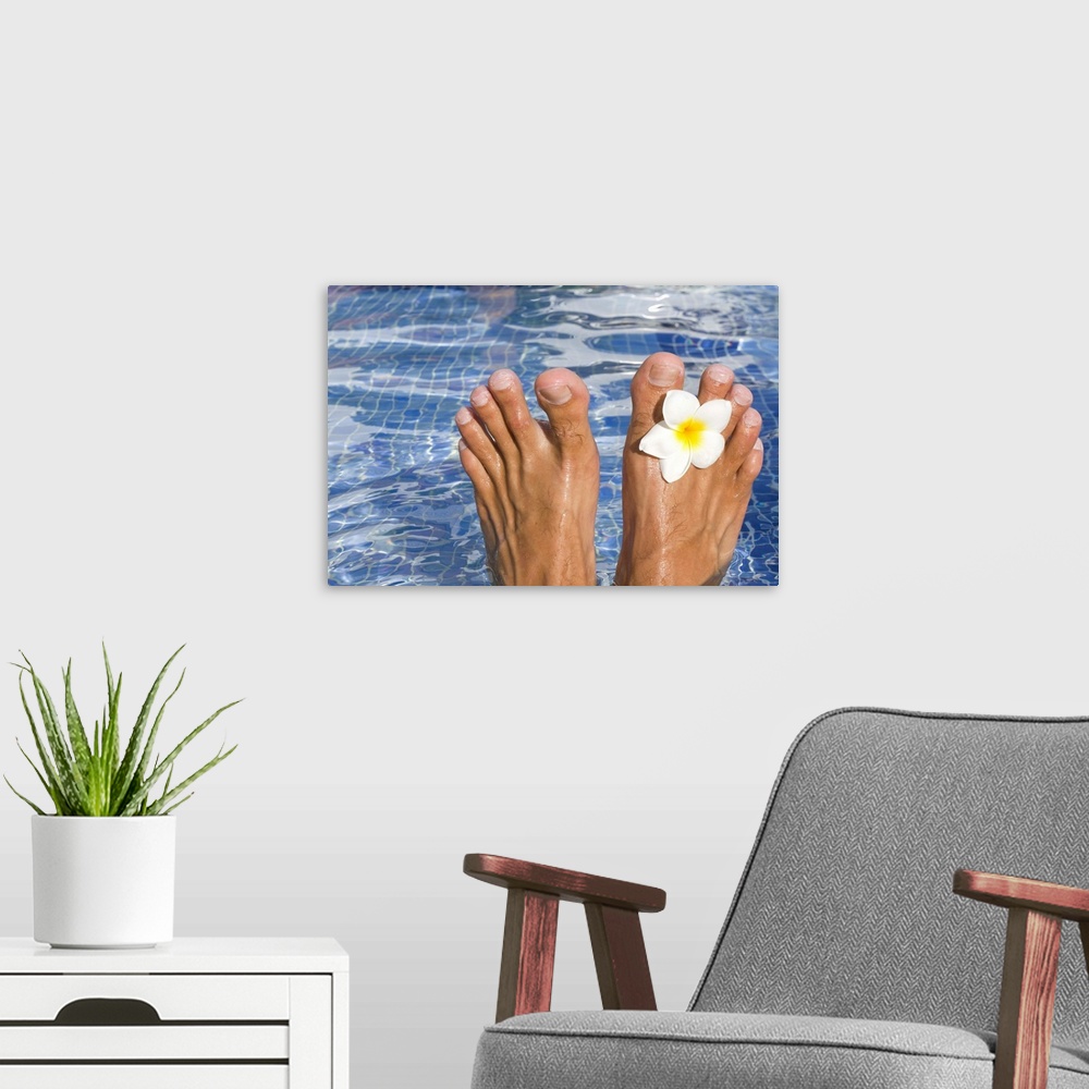 A modern room featuring Mans feet in blue swimming pool with tropical frangipani flower.