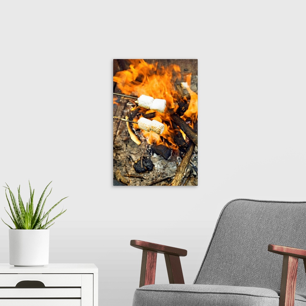 A modern room featuring Marshmallows roasting over fire