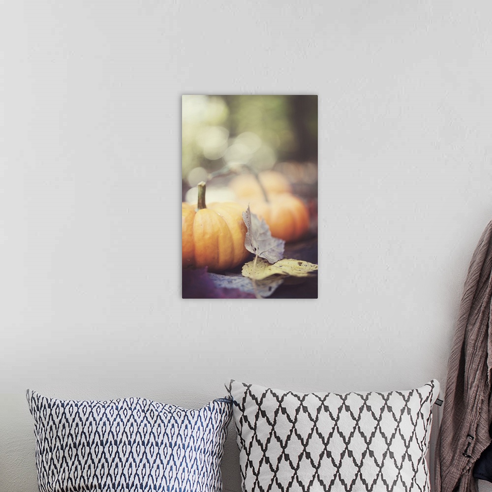 A bohemian room featuring Mini pumpkins with fall leaves.