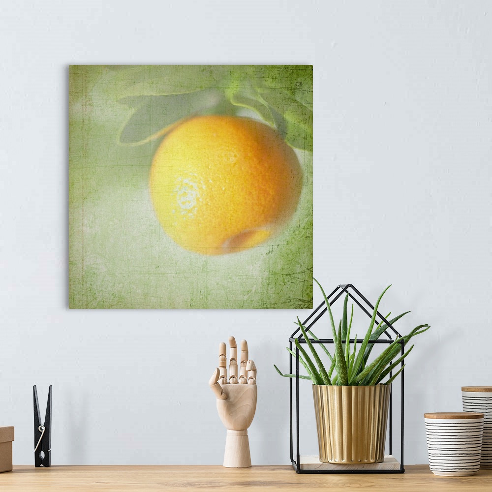 A bohemian room featuring Miniature orange fruit with textured background.