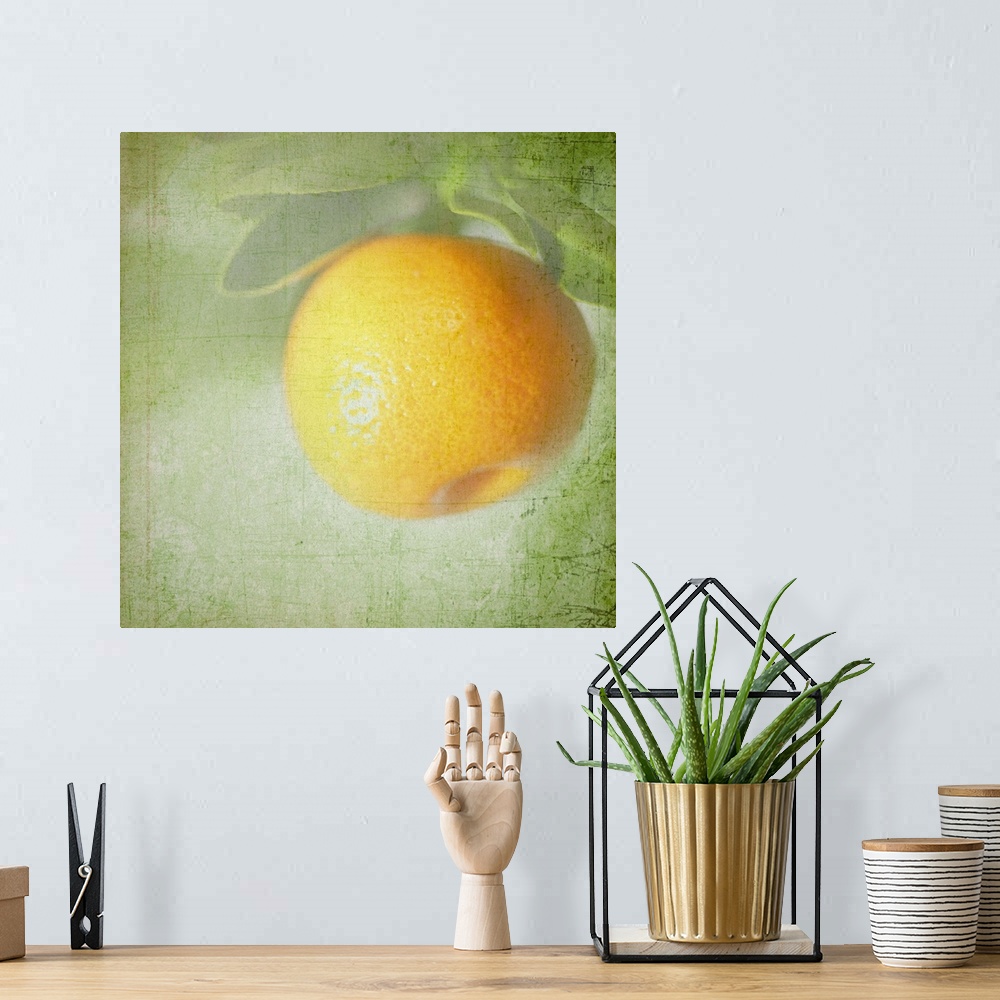 A bohemian room featuring Miniature orange fruit with textured background.