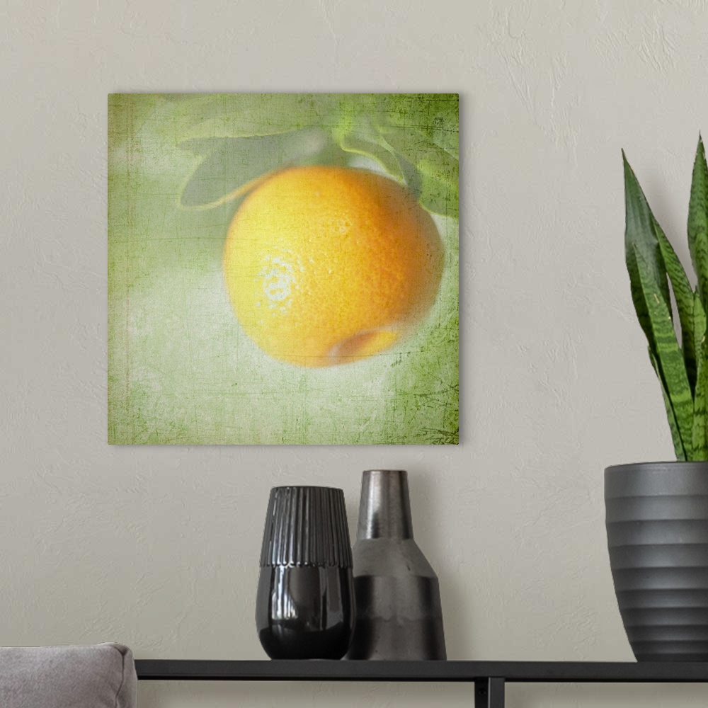 A modern room featuring Miniature orange fruit with textured background.