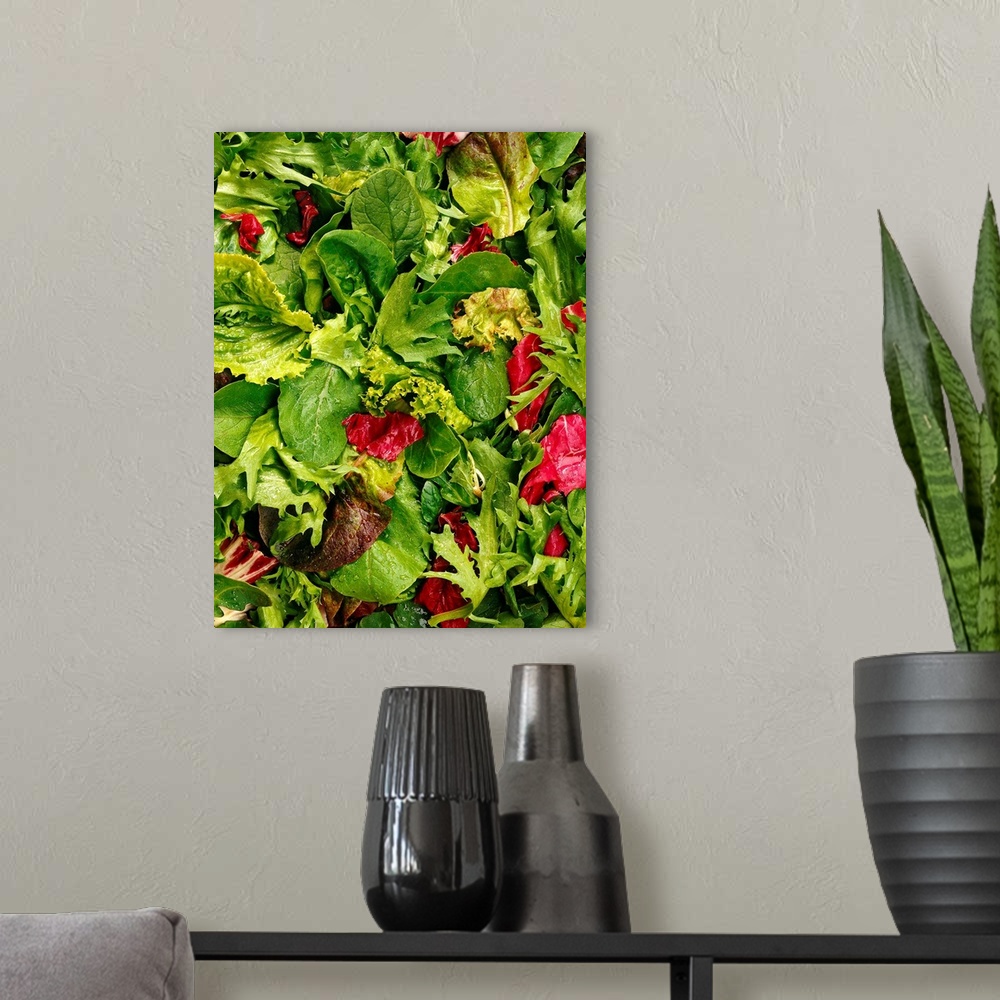 A modern room featuring Mixed lettuce salad