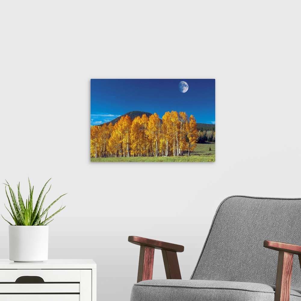 A modern room featuring Moon over a landscape, Monument Valley Navajo Tribal Park, Arizona, USA