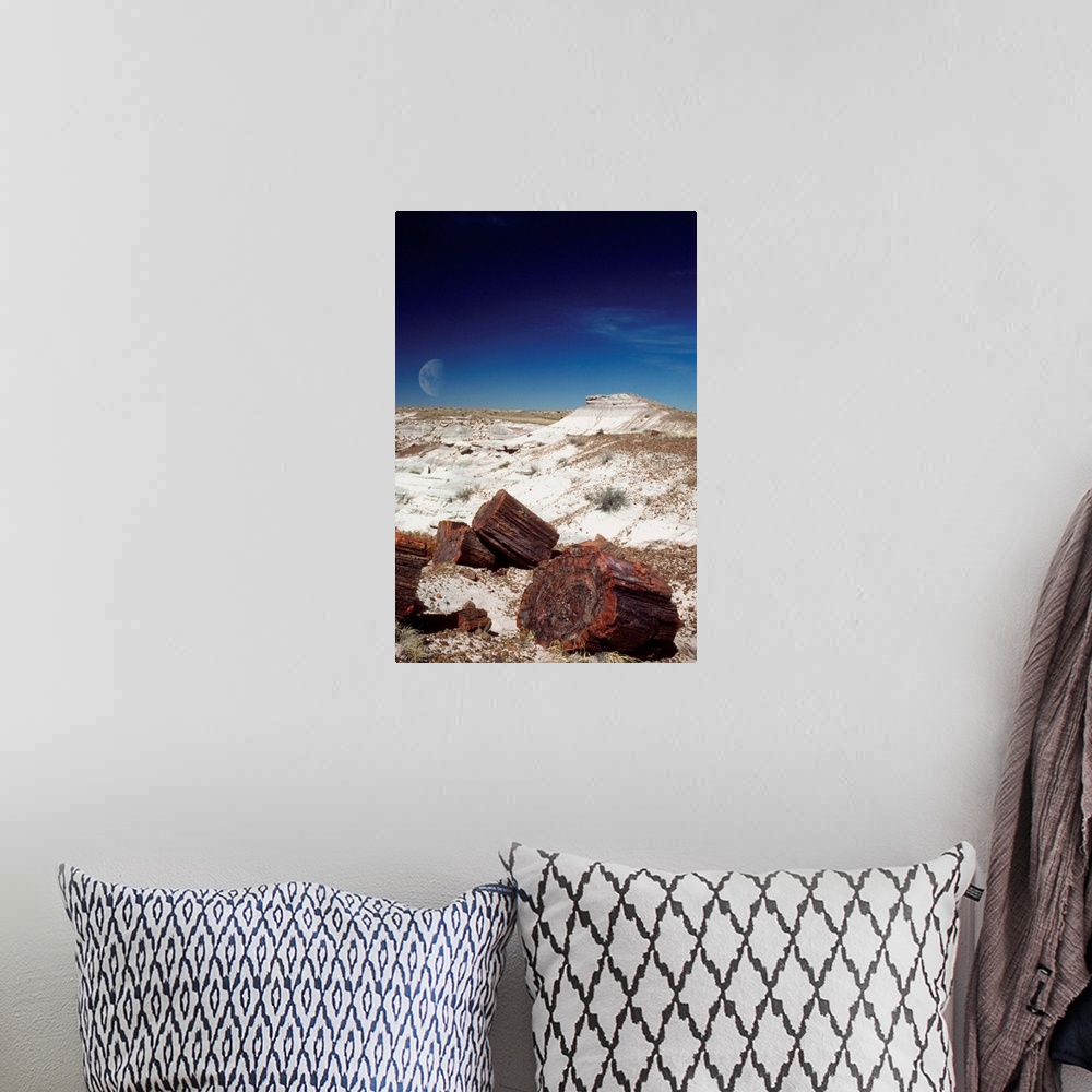 A bohemian room featuring Moon over an arid landscape, Petrified Forest, Arizona, USA