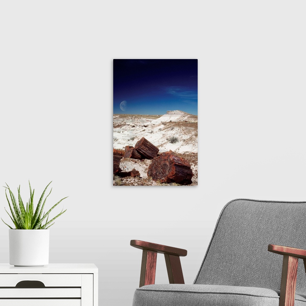 A modern room featuring Moon over an arid landscape, Petrified Forest, Arizona, USA