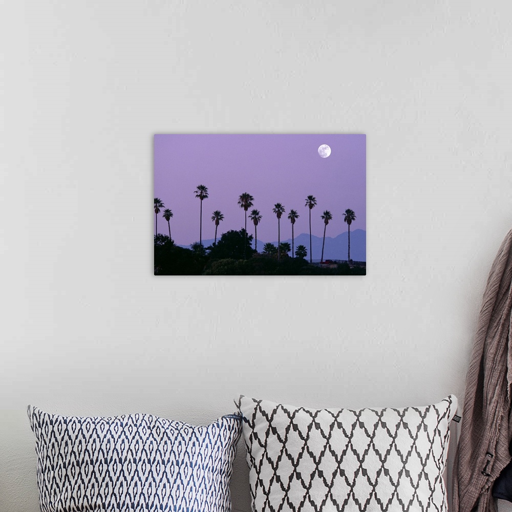 A bohemian room featuring Moon over palm trees at dusk, Hollywood, Los Angeles, California, USA