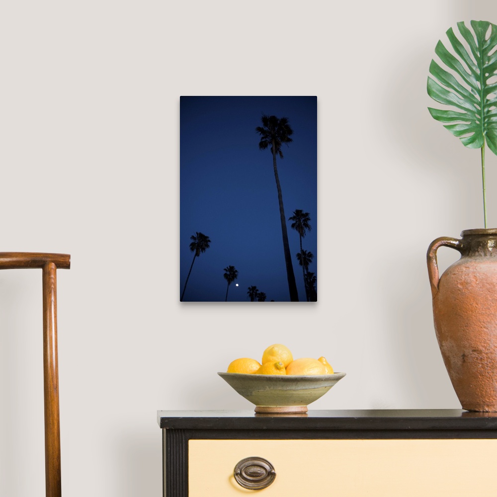A traditional room featuring Moonrise over palm trees in Ocean Beach, San Diego, California, USA.
