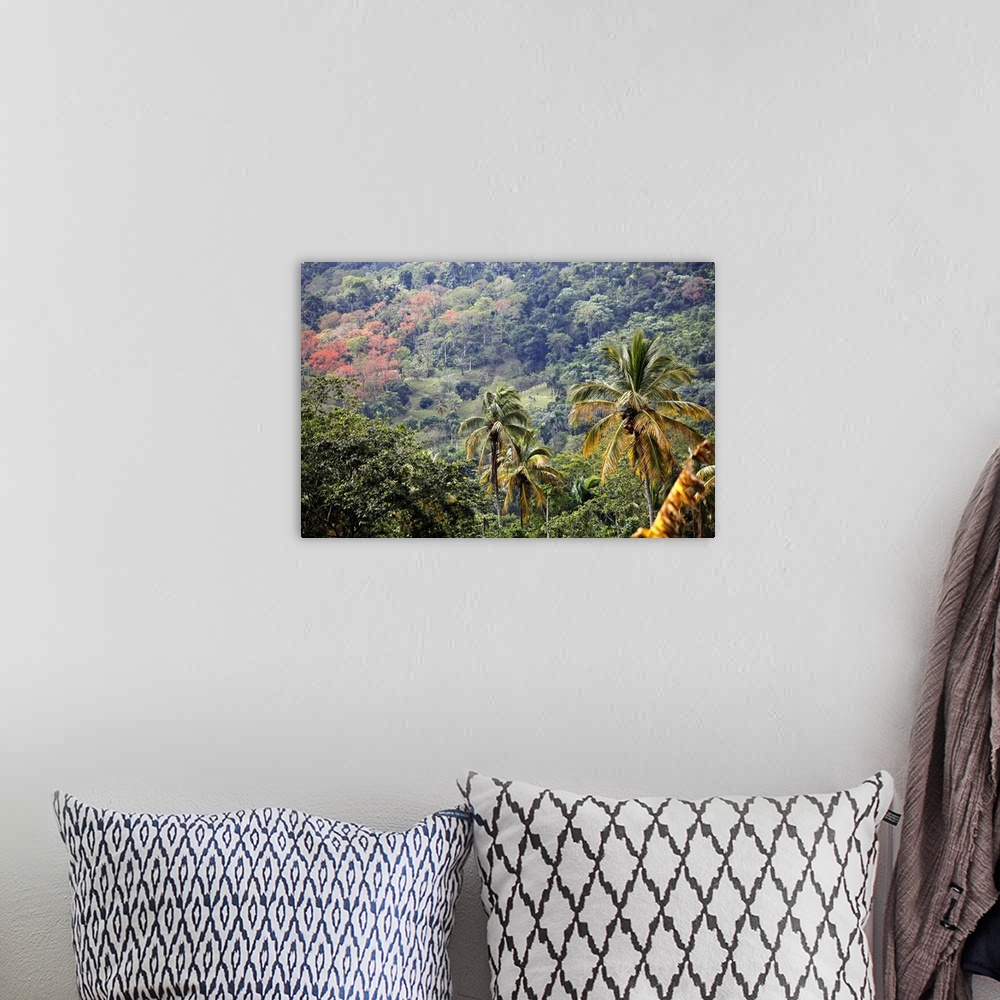 A bohemian room featuring Mountain view, Dominican Republic.